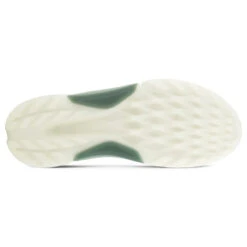 Ecco Biom H4 BOA Gore-Tex Golf Shoes 13 Ecco Biom H4 BOA Gore-Tex Golf Shoes -Golf Sale Store Ecco Biom H 4 BOA Gore Tex Golf Shoes Magnet Frosty Green 6