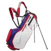 Nike Air Hybrid 2 Golf Stand Bag 1 Nike Air Hybrid 2 Golf Stand Bag -Golf Sale Store Nike Air Hybrid 2 Stand Bag DR5132 679 Gym Red Dee Royal Silver 1